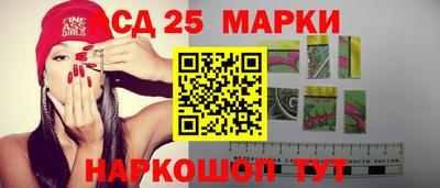 стаф Лесосибирск