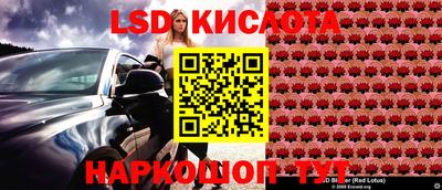 стаф Лесосибирск