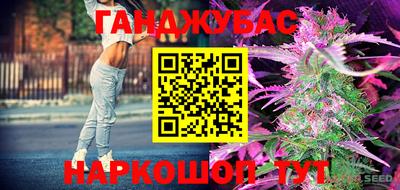 стаф Лесосибирск