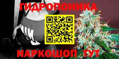 стаф Ликино-Дулёво