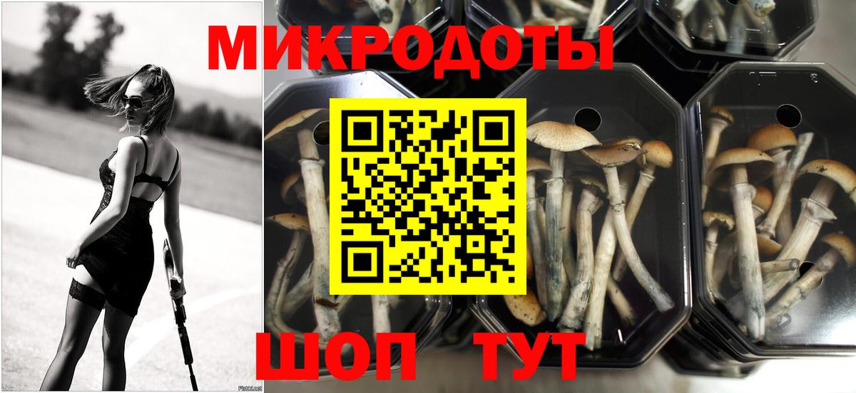 Грязи  Псилоцибиновые грибы ЛСД  Вход с VPN 